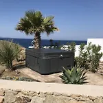 إيرايدز