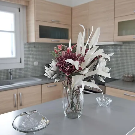 Aerides Дом отдыха Houlakia (Mykonos)